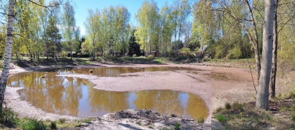 Staw  27.04.2026 r